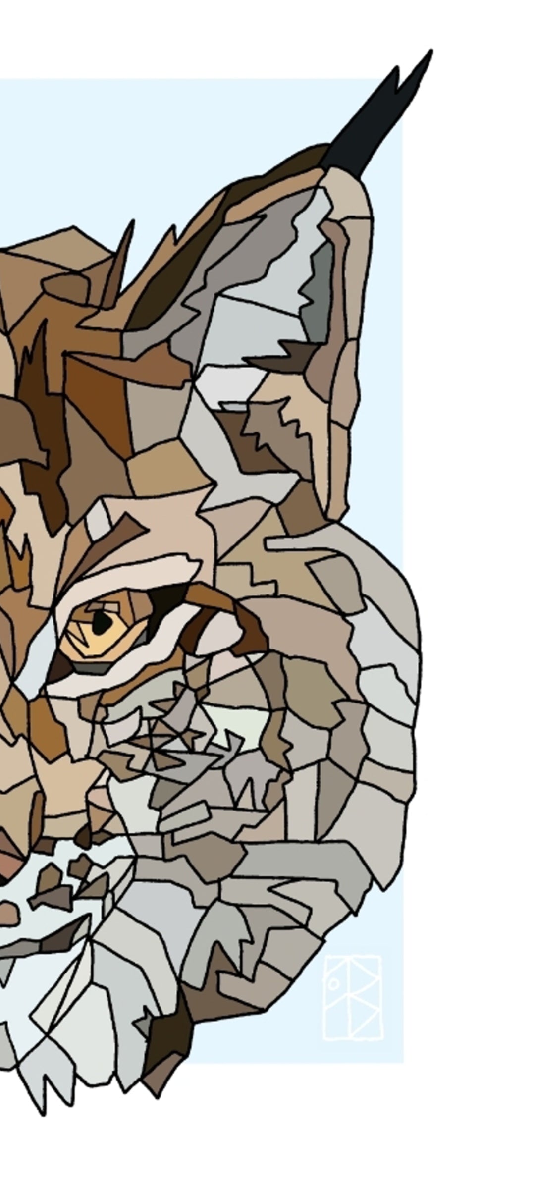 Lincse = Lynx π±π