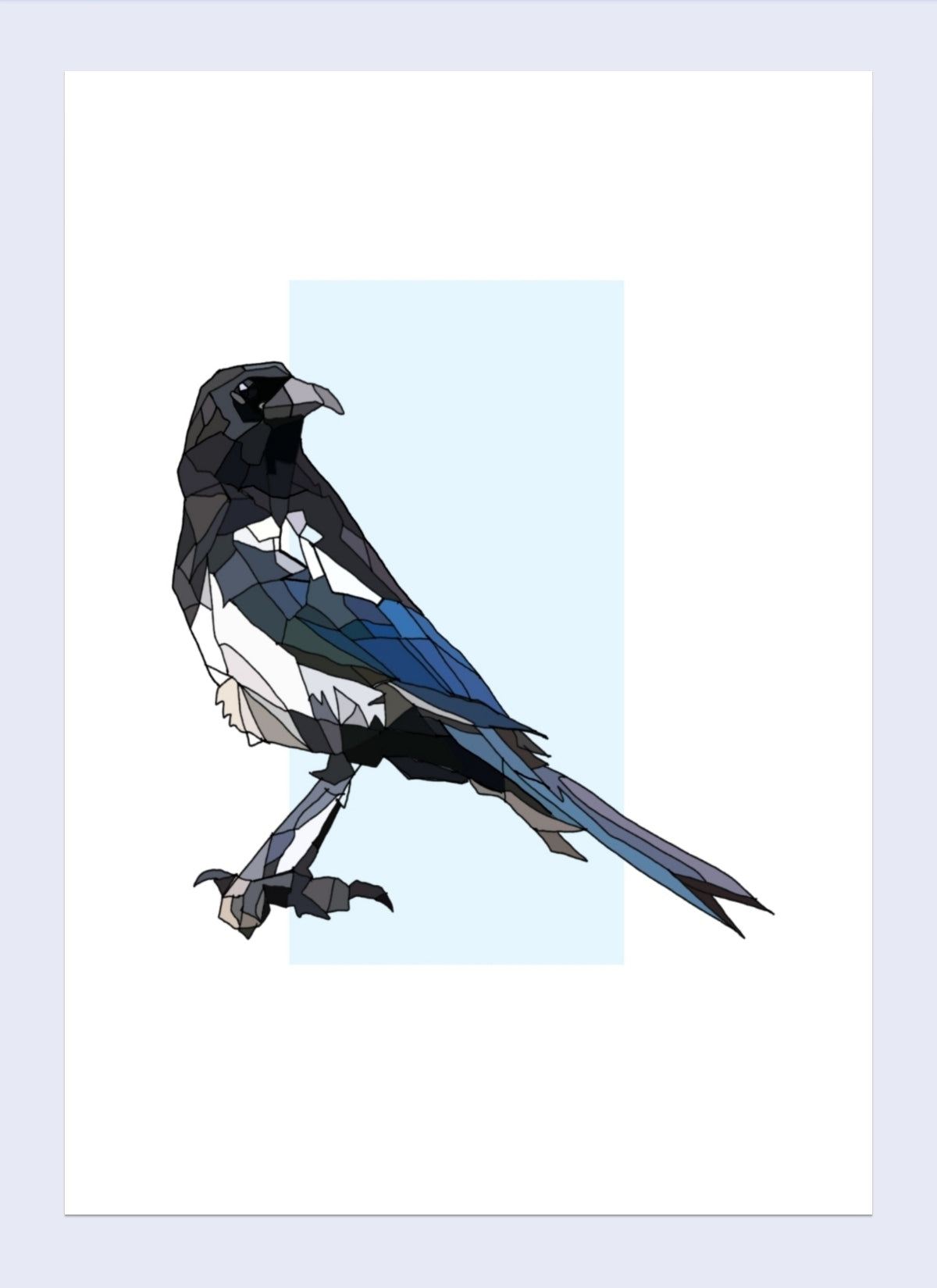 A4 Snag Breac/Snag Bruic/Francach (Magpie)