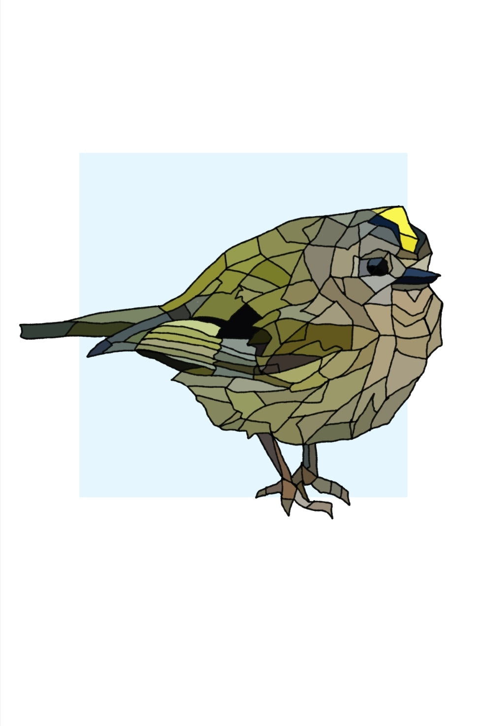 A4 Dreoilín Easpaigh (the Bishops Wren) - Goldcrest