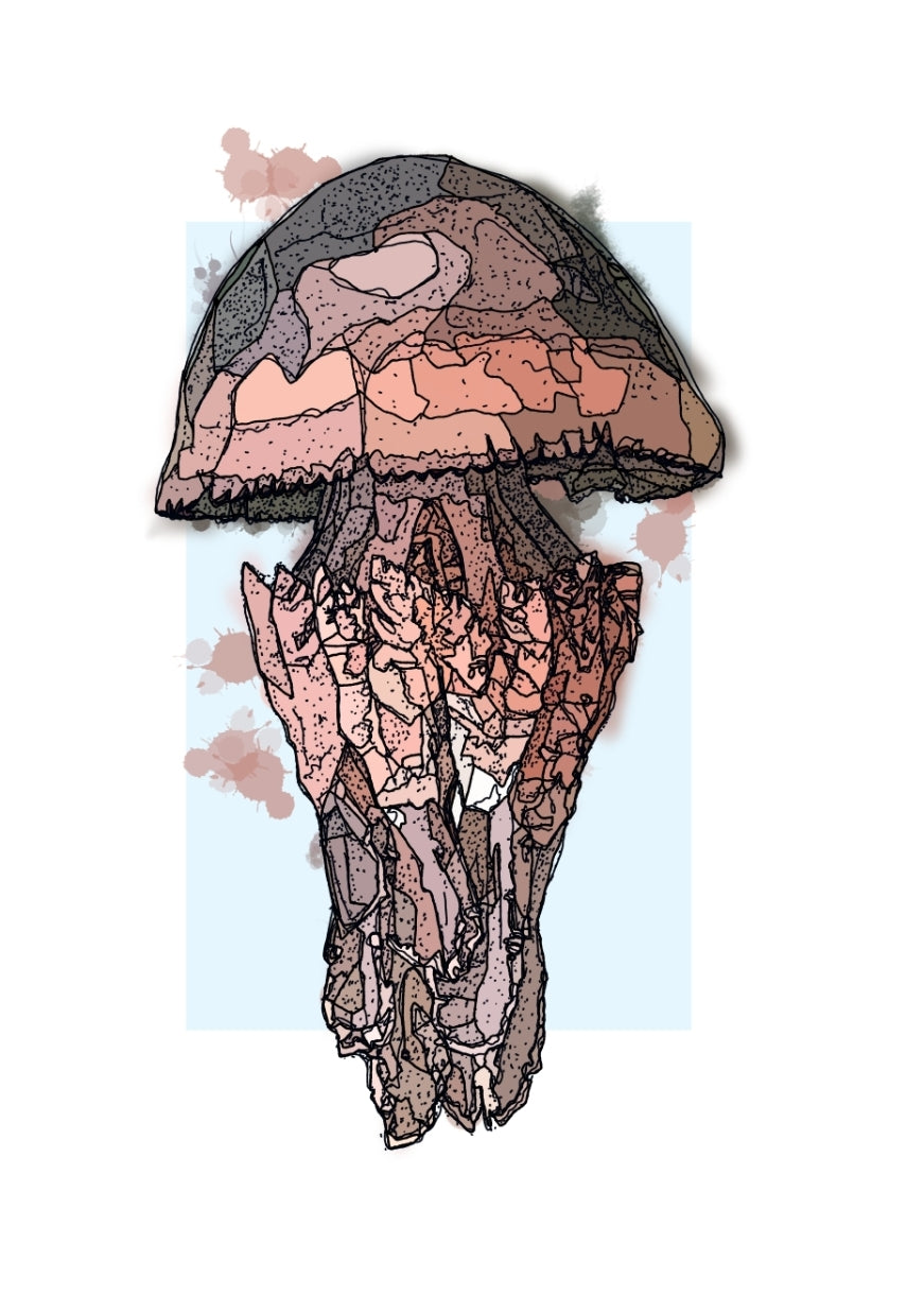 A4 Smugairle Róin (Jellyfish)