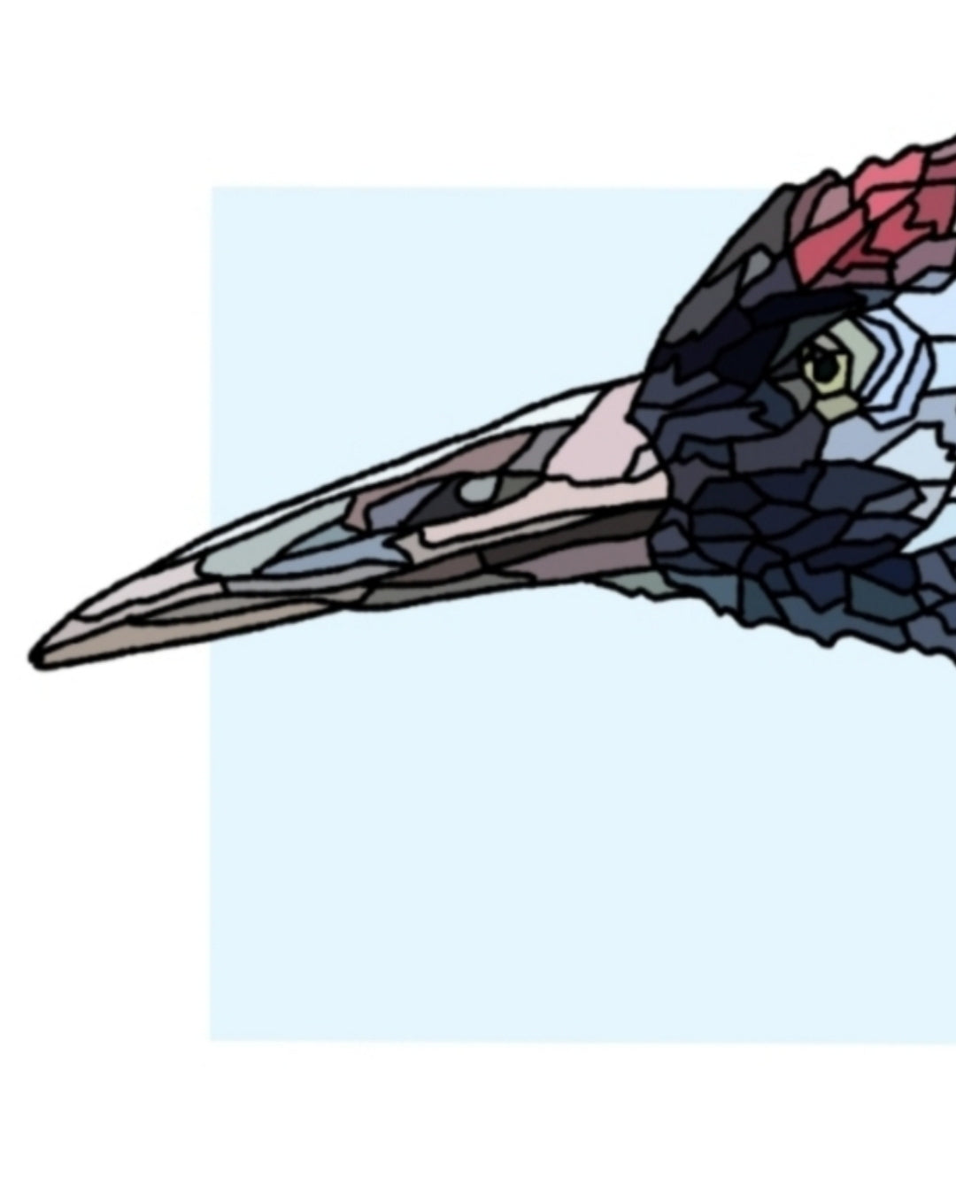 A4 Grús/Corr (crane)