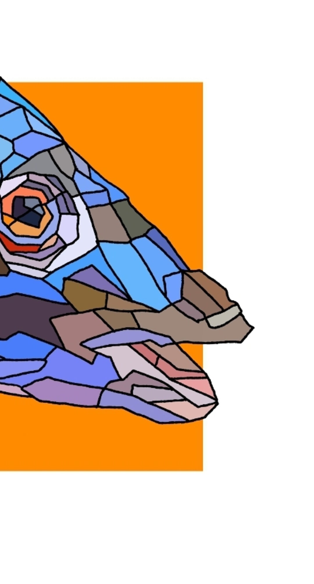 Splanc (ceann) = head of Cuckoo Wrasse 🐟🐠