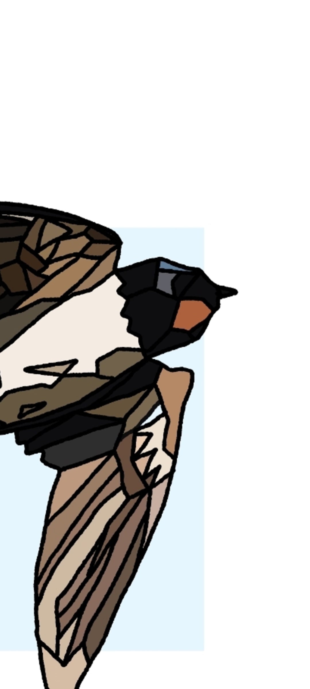 Fáinleog = swallow 🐦