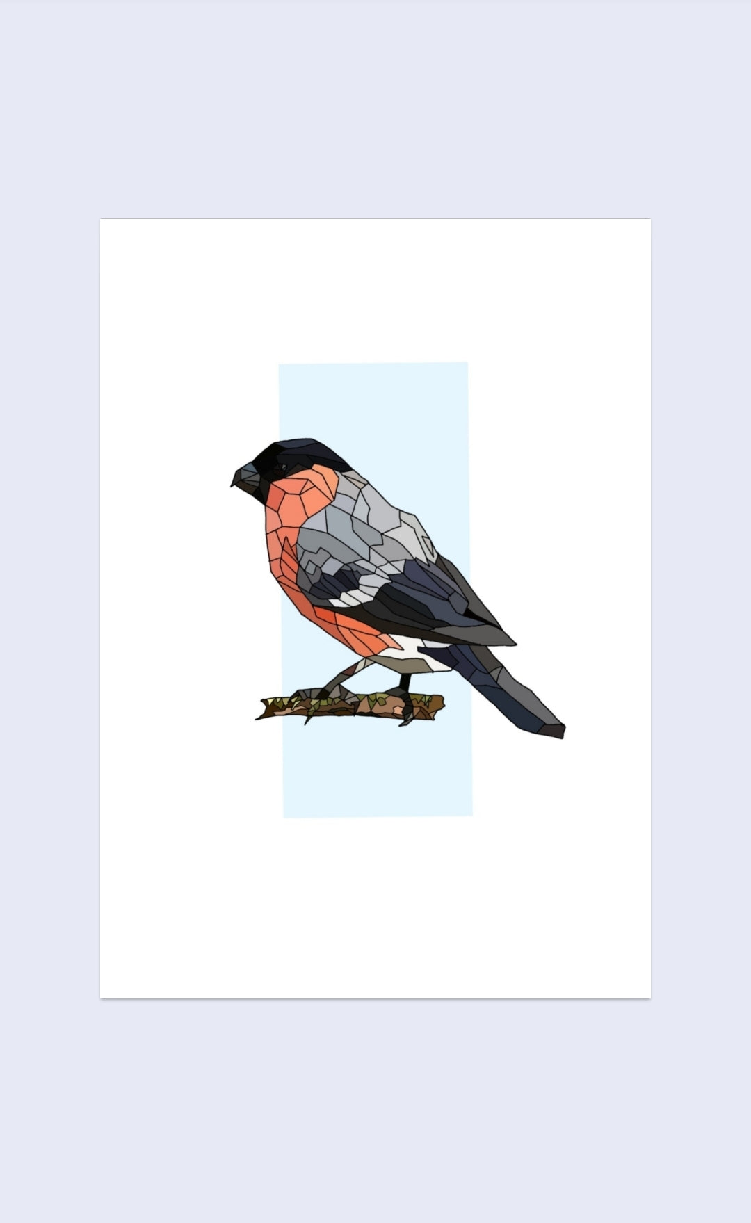 Corcrán Coille - Bullfinch