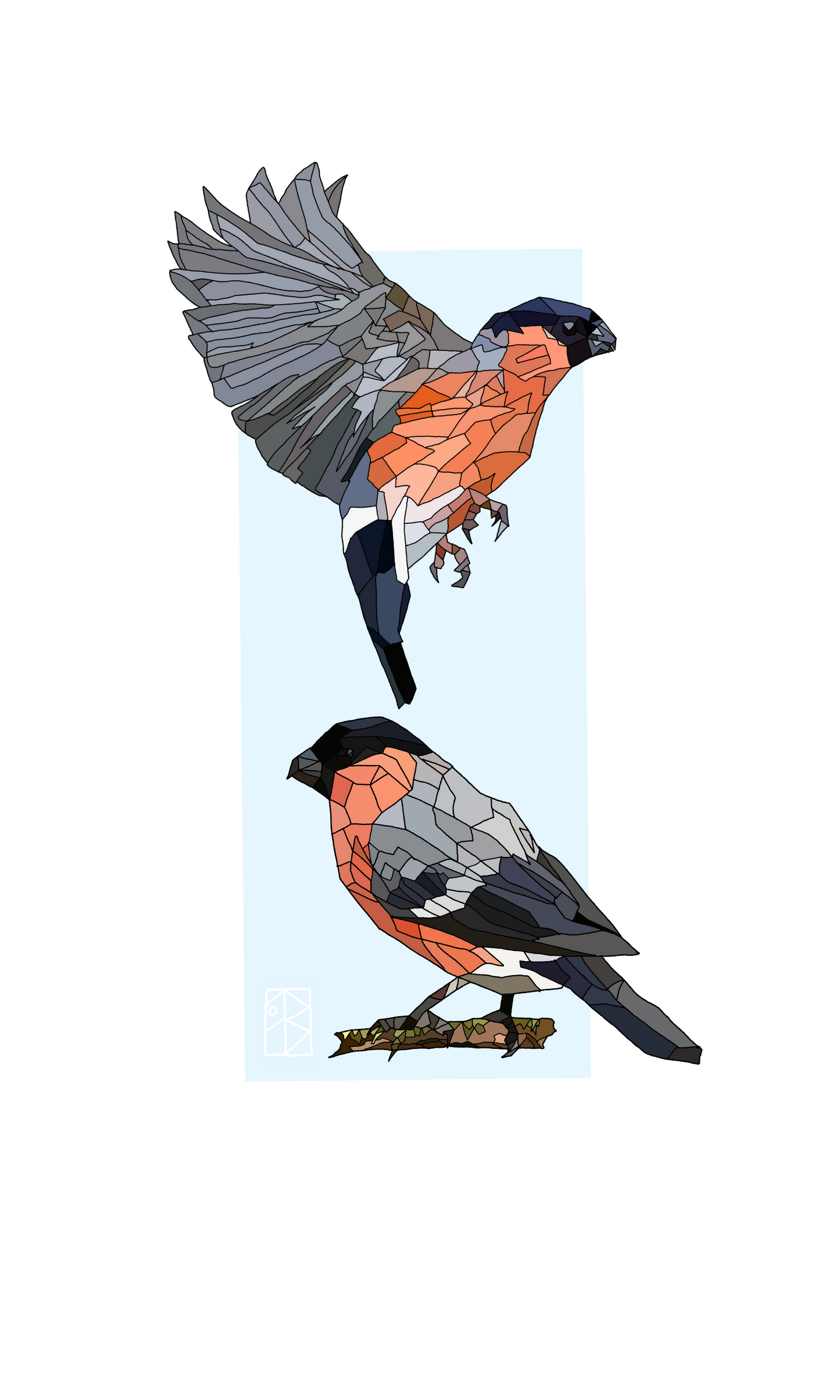 print of Corcrán Coille = Bullfinch 🐮🐦