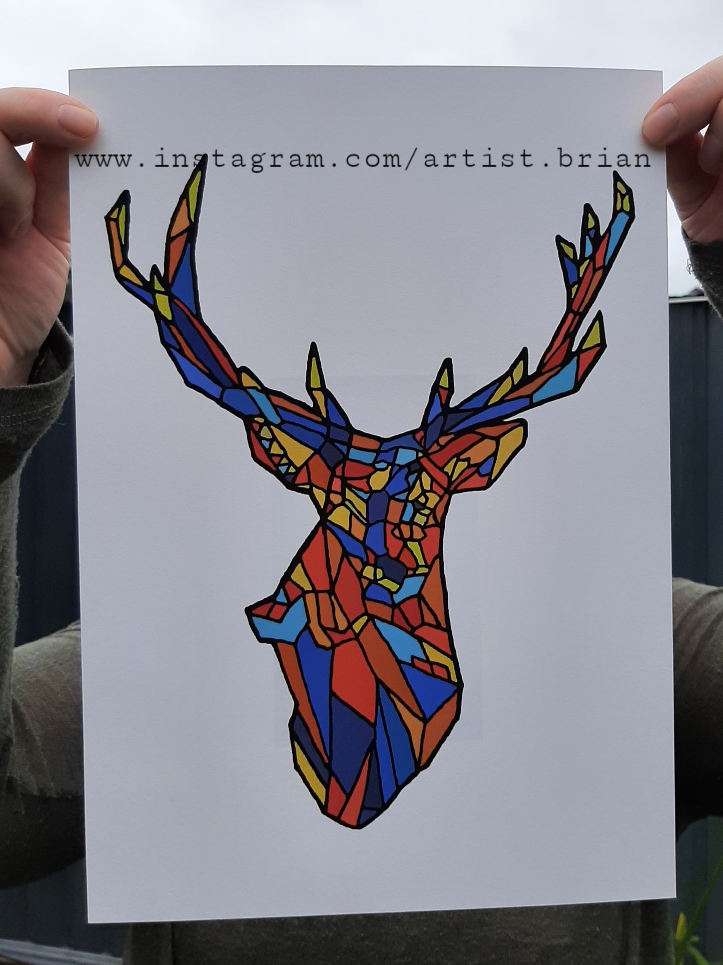 A4 Carria/Fia fireann - (colourful) Stag