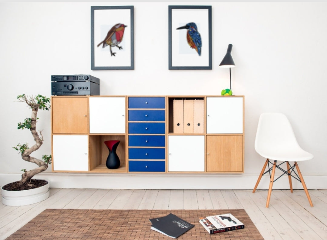 A4 Cruidín/Biorra an uisce - (kingfisher)