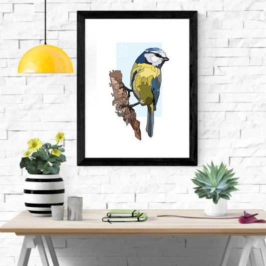 Blue Tit - Meantán Gorm