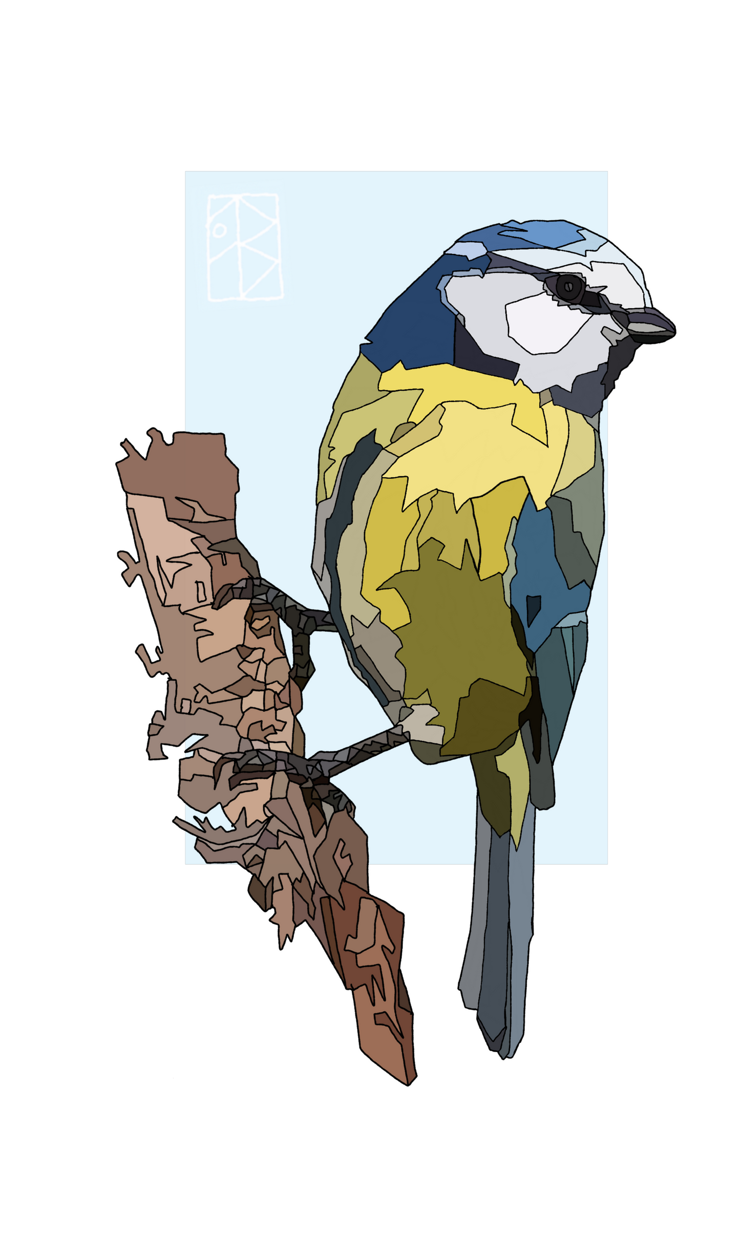 Blue Tit - Meantán Gorm